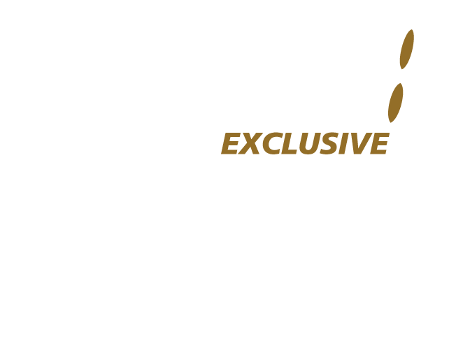 NAP Exclusive Logo