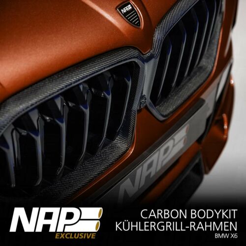 NAP Sportauspuff BMW X6 Exclusive carbon Kuehlergrill Rahmen 01