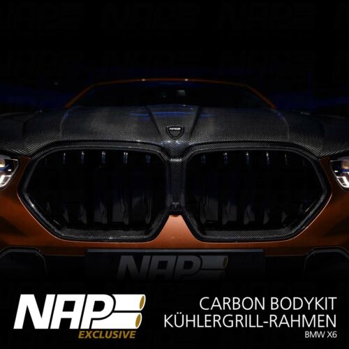NAP Sportauspuff BMW X6 Exclusive carbon Kuehlergrill Rahmen 02