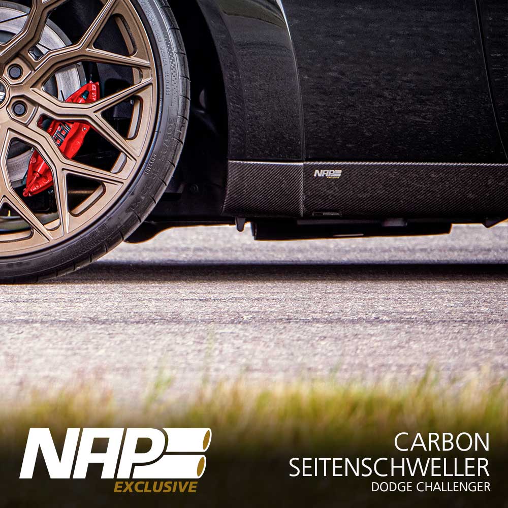 NAP Exclusive Carbon Seitenschweller