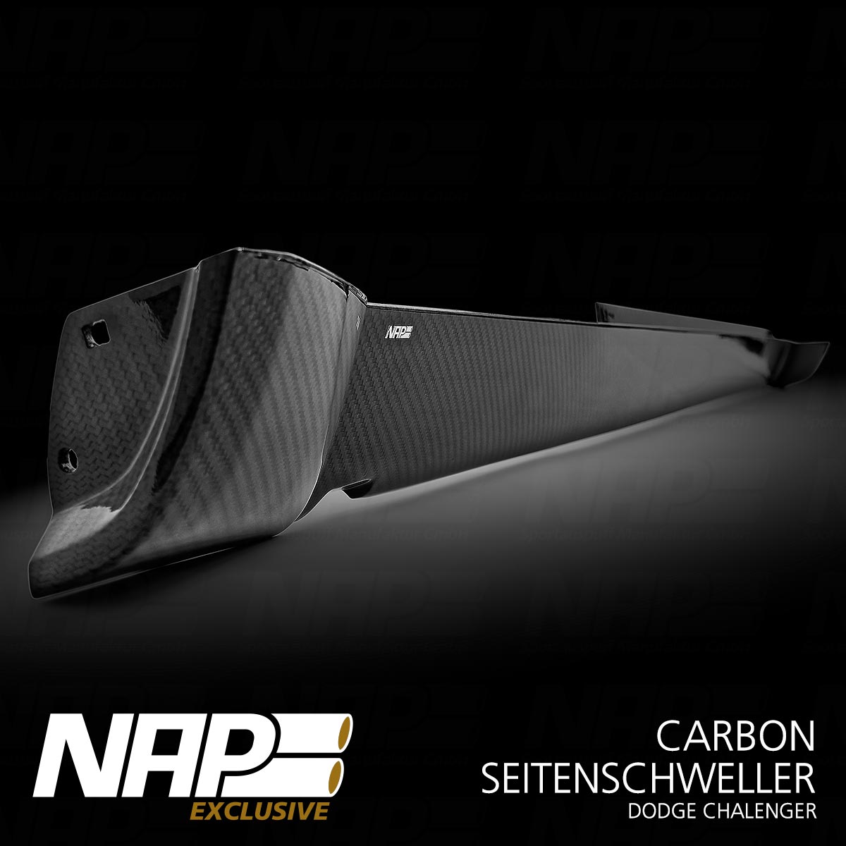 NAP Exclusive Carbon Seitenschweller