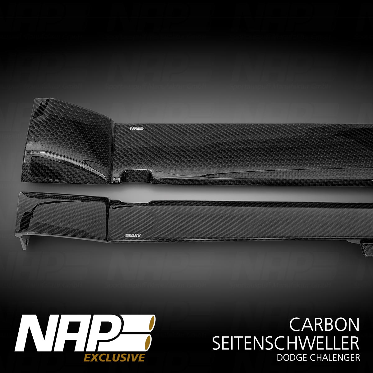 NAP Exclusive Carbon Seitenschweller