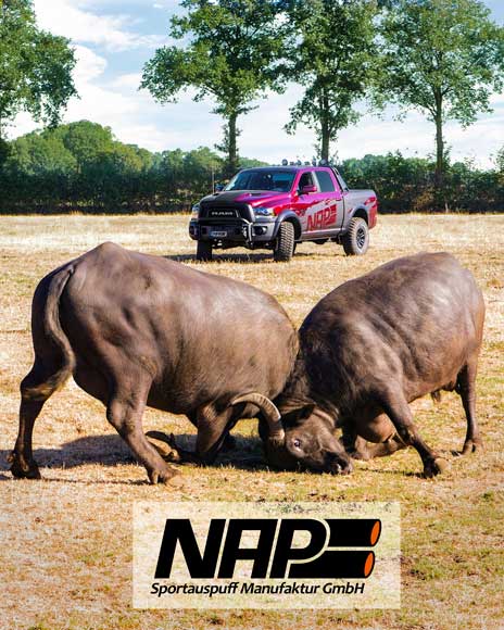 NAP-Sportauspuff-RAM-1500-buffalo2_web