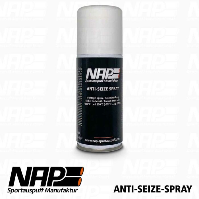 NAP Klappen Wartungsspray